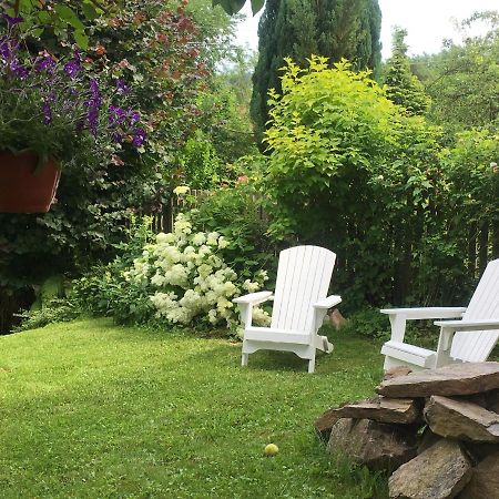 Willa Schmetterling Villa Duszniki Zdroj Luaran gambar
